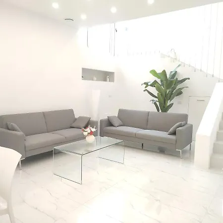 Elegant Basement Apartman